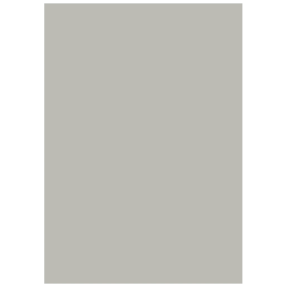 Multifunktionspapier Universalpapier | A4, 80 g/m², grau, 50 Blatt