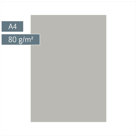 Multifunktionspapier Universalpapier | A4, 80 g/m², grau, 50 Blatt