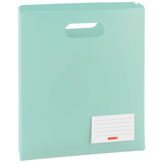 Heftbox FACT!pp | A4, Füllhöhe: 50 mm, mint