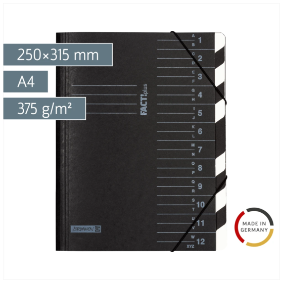Ordnungsmappe FACT!plus | A4, 12 Fächer, schwarz