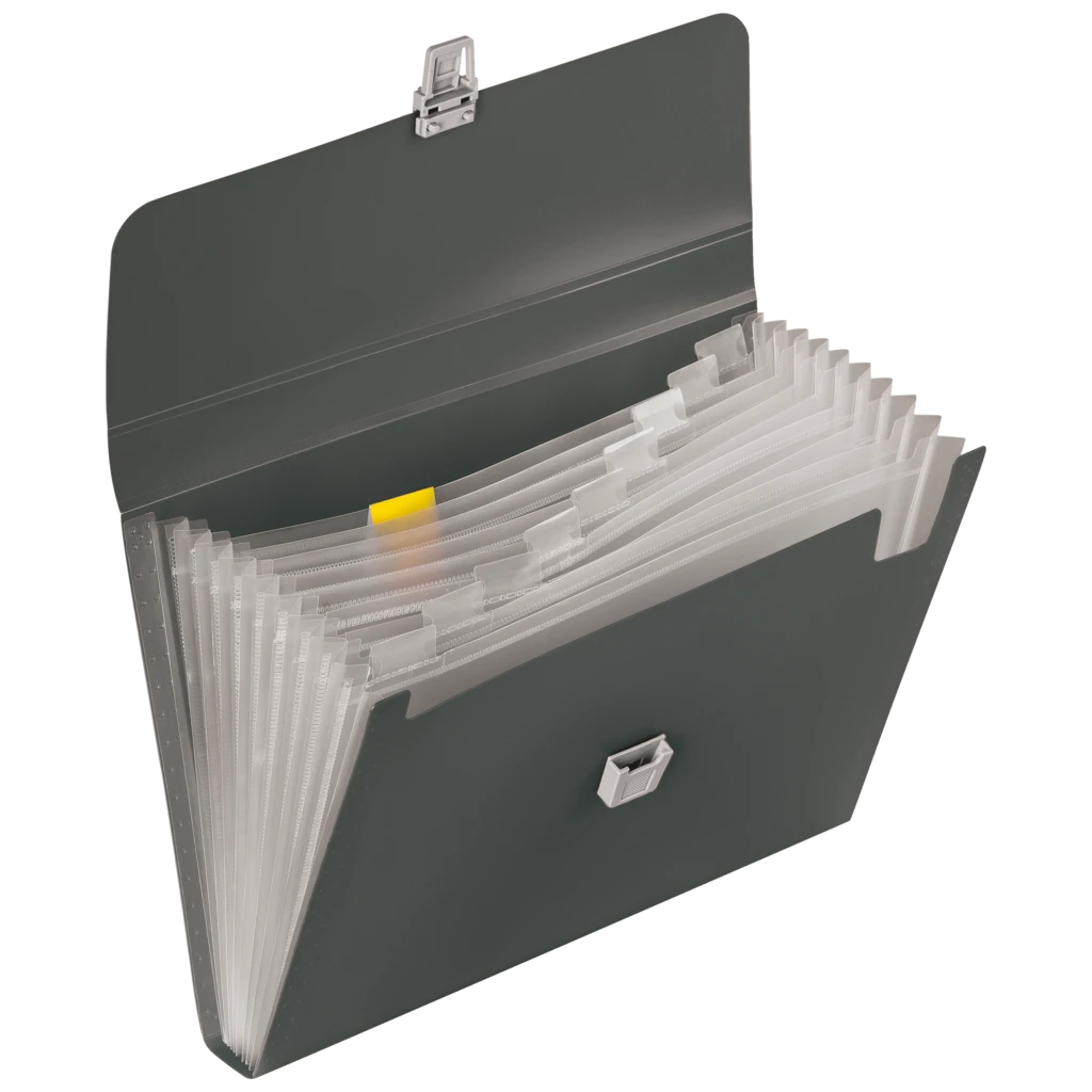 Fächermappe FACT!pp | A4, 10 Fächer, onyx