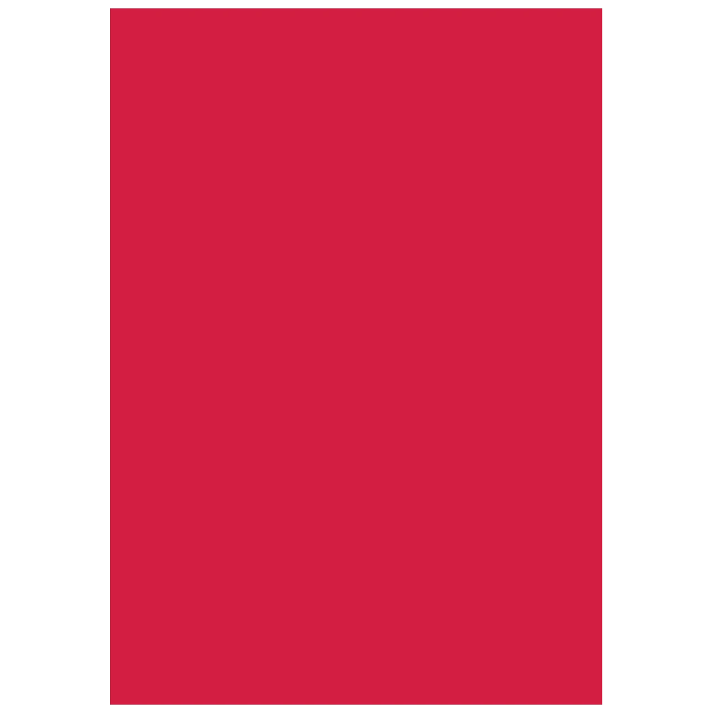 Multifunktionspapier Universalpapier | A4, 160 g/m², mittelrot, 25 Blatt