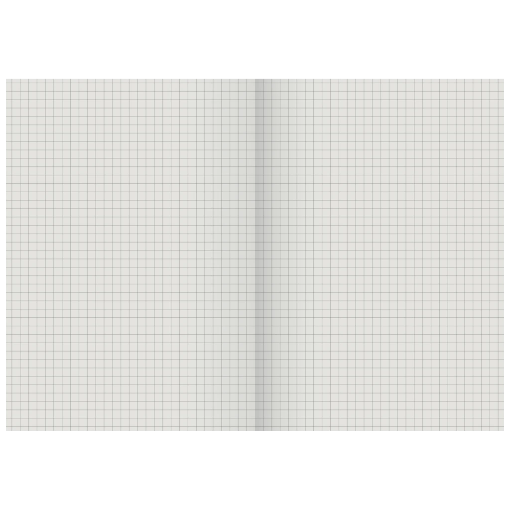Geschäftsbuch | A5, 192 Seiten, kariert, Karton