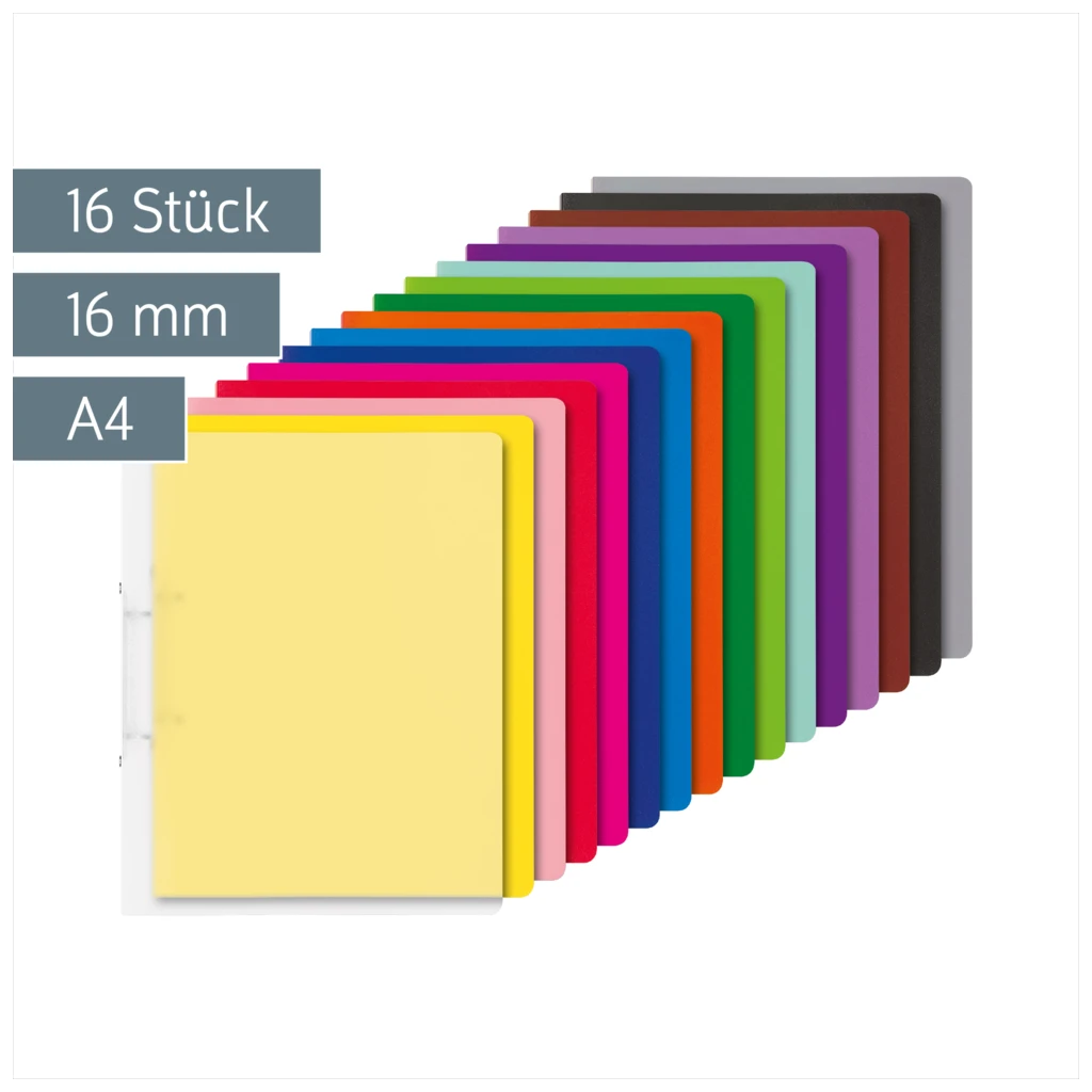 Ringbuch-Set FACT!pp | A4, 2 Ringe, Füllhöhe: 16 mm, 16 Stück