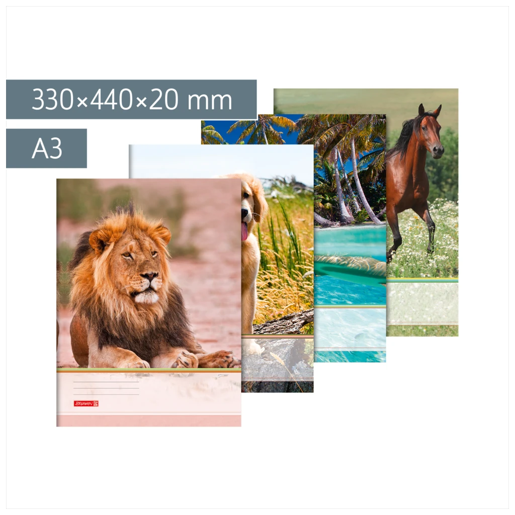 Sammelmappe | A3, Füllhöhe: 20 mm, sortiert