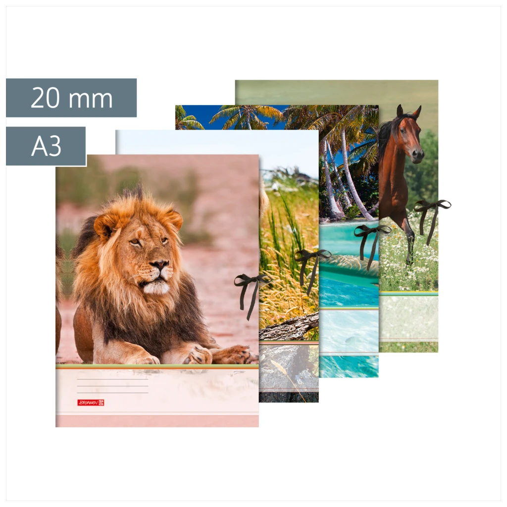 Sammelmappe | A3, Füllhöhe: 20 mm, sortiert
