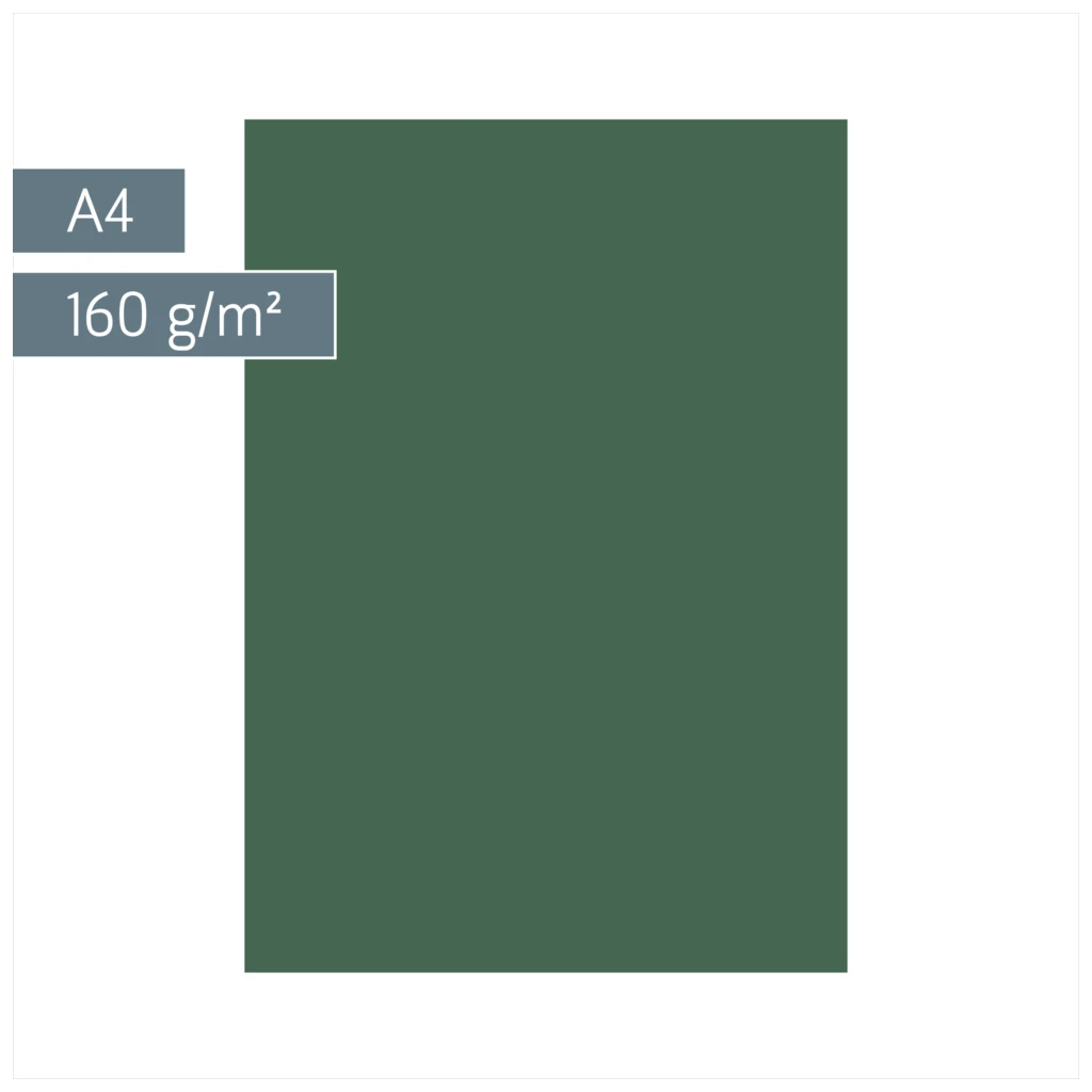 Multifunktionspapier Universalpapier | A4, 160 g/m², moosgrün, 25 Blatt