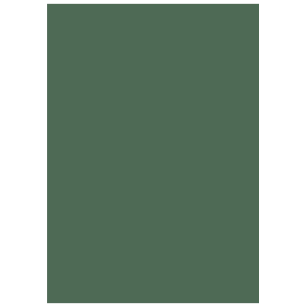Multifunktionspapier Universalpapier | A4, 120 g/m², moosgrün, 35 Blatt