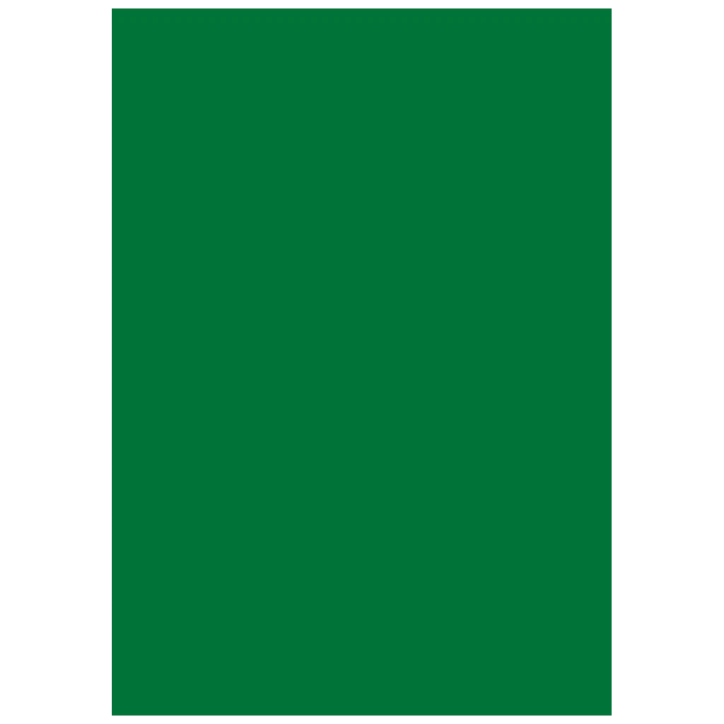 Multifunktionspapier Universalpapier | A4, 120 g/m², dunkelgrün, 35 Blatt