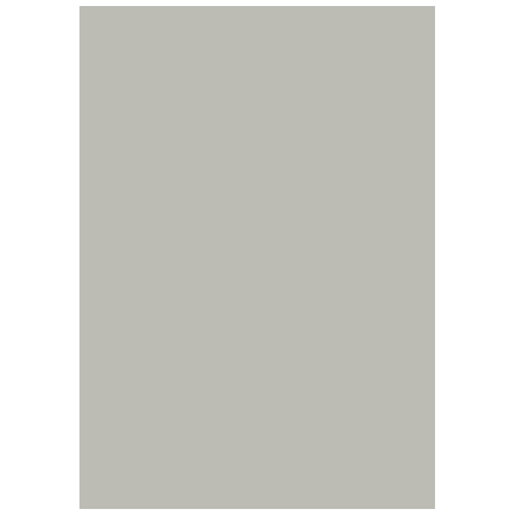Multifunktionspapier Universalpapier | A4, 120 g/m², grau, 35 Blatt