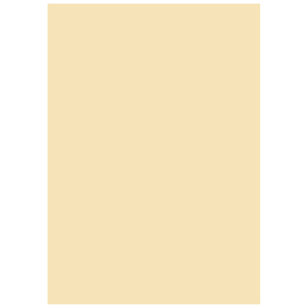 Multifunktionspapier Universalpapier | A4, 80 g/m², chamois, 50 Blatt