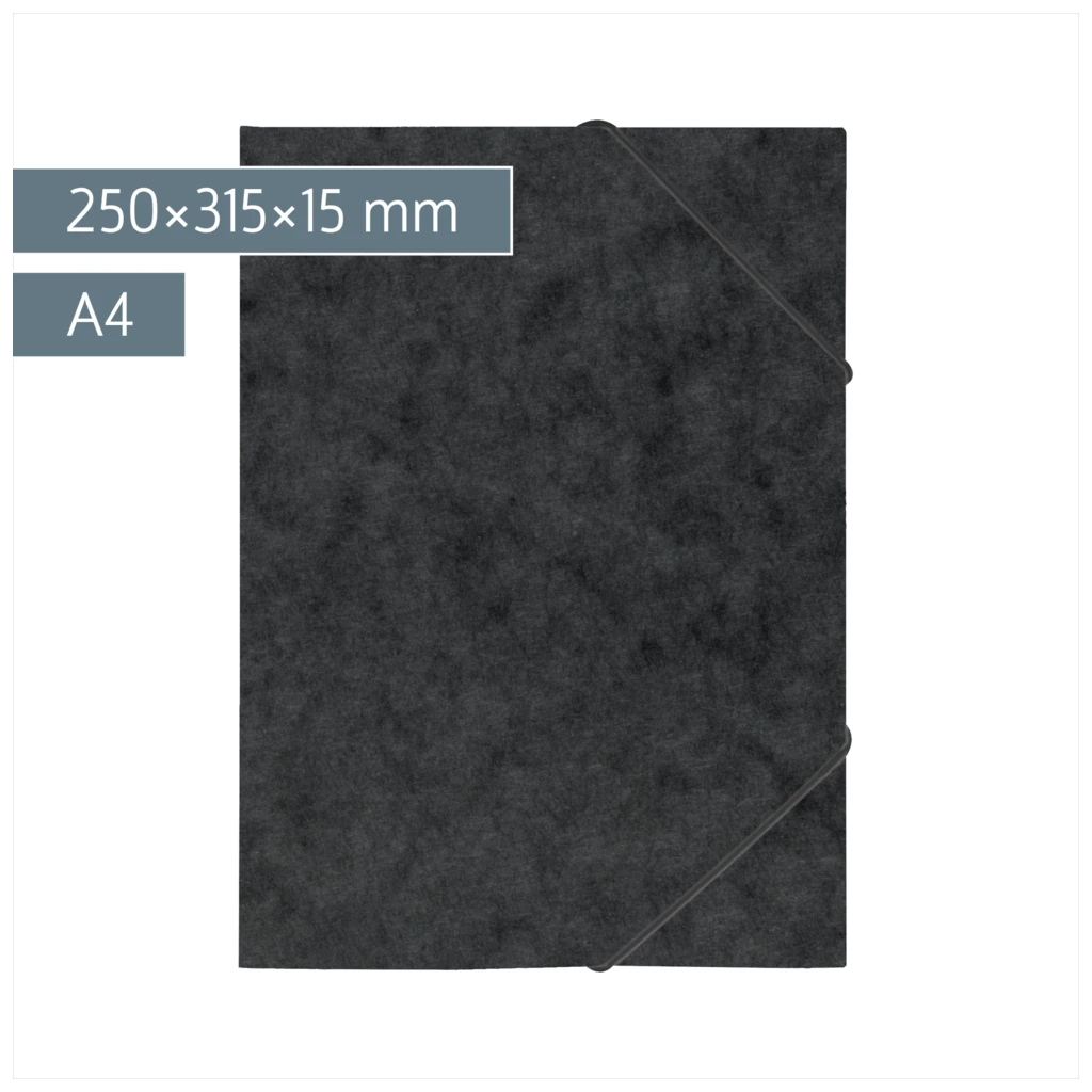 Ringbuch FACT!plus | A4, 2 Ringe, Füllhöhe: 15 mm, schwarz