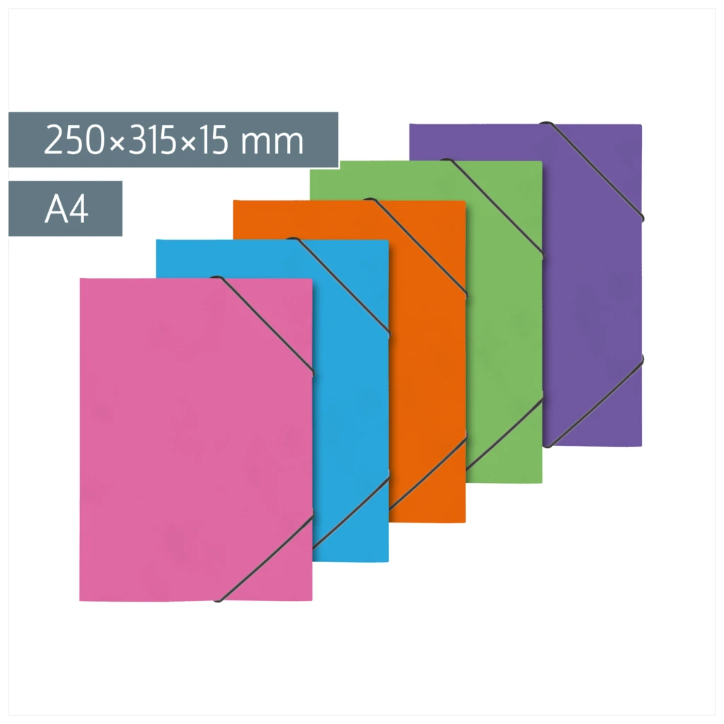 Ringbuch FACT!plus | A4, 2 Ringe, Füllhöhe: 15 mm, sortiert