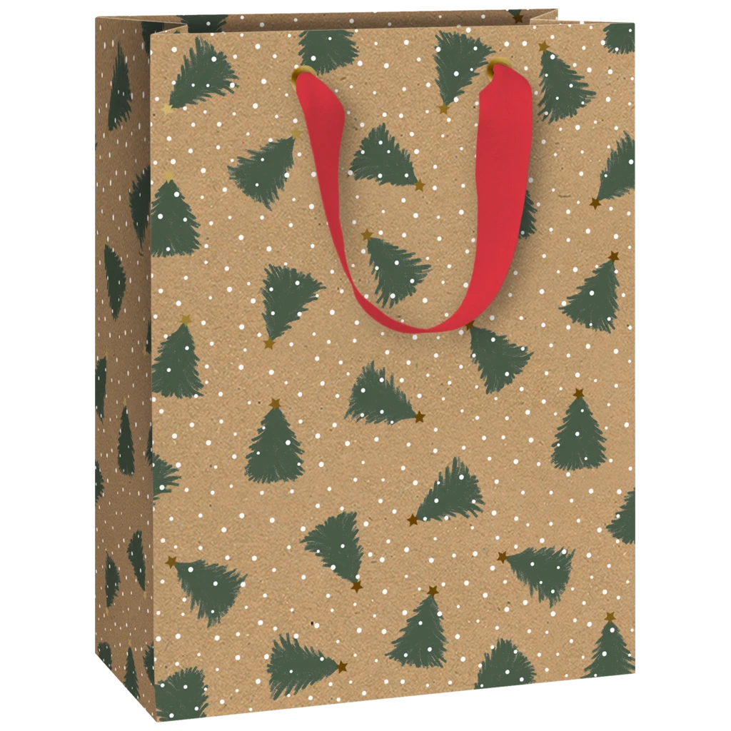 Geschenktasche „Kian“ | 23×30×13 cm, 230 g/m², braun