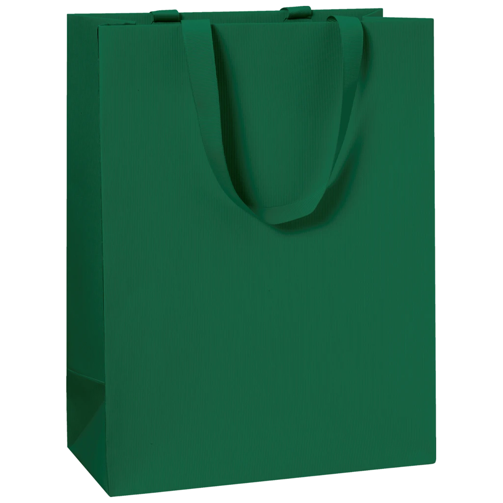 Geschenktasche One Colour | 23×30×13 cm, 250 g/m², dunkelgrün