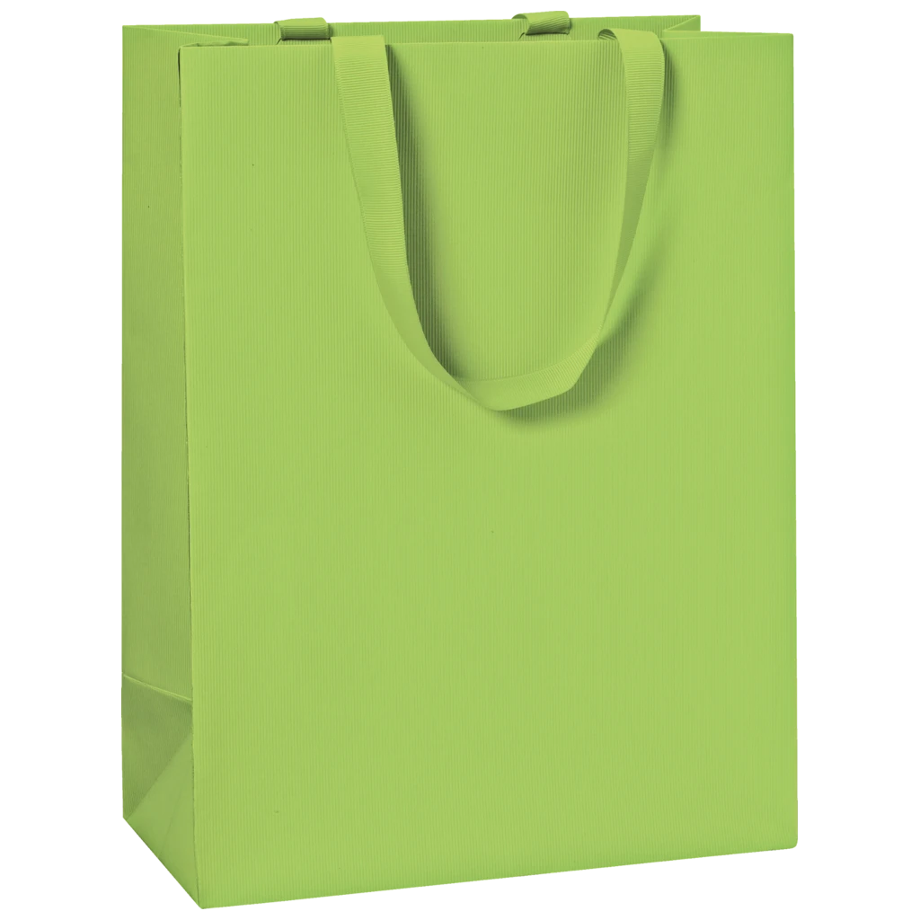 Geschenktasche One Colour | 23×30×13 cm, 250 g/m², hellgrün