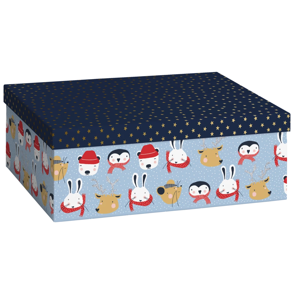 Geschenkbox „Malik“ | 24×12×33 cm, 120 g/m², hellblau
